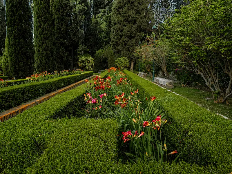 Parterres con flores rojas, setos geométricos y cipreses en los Jardines de Puerta Oscura de Málaga