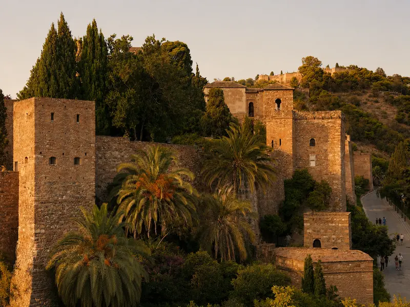 Murallas, palmeras y vegetación del entorno de Gibralfaro al atardecer en Málaga
